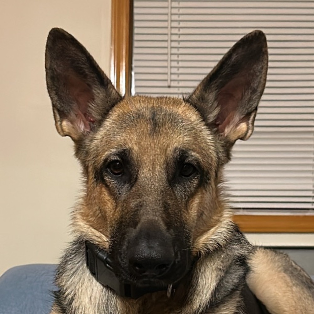 Meet your Posher, Cindy